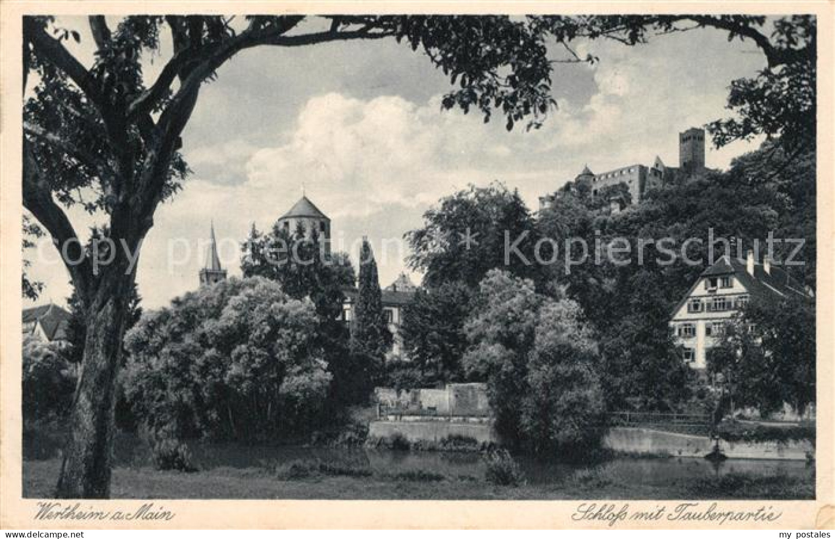 73282411 Wertheim Main Schloss Wertheim Main - Wertheim