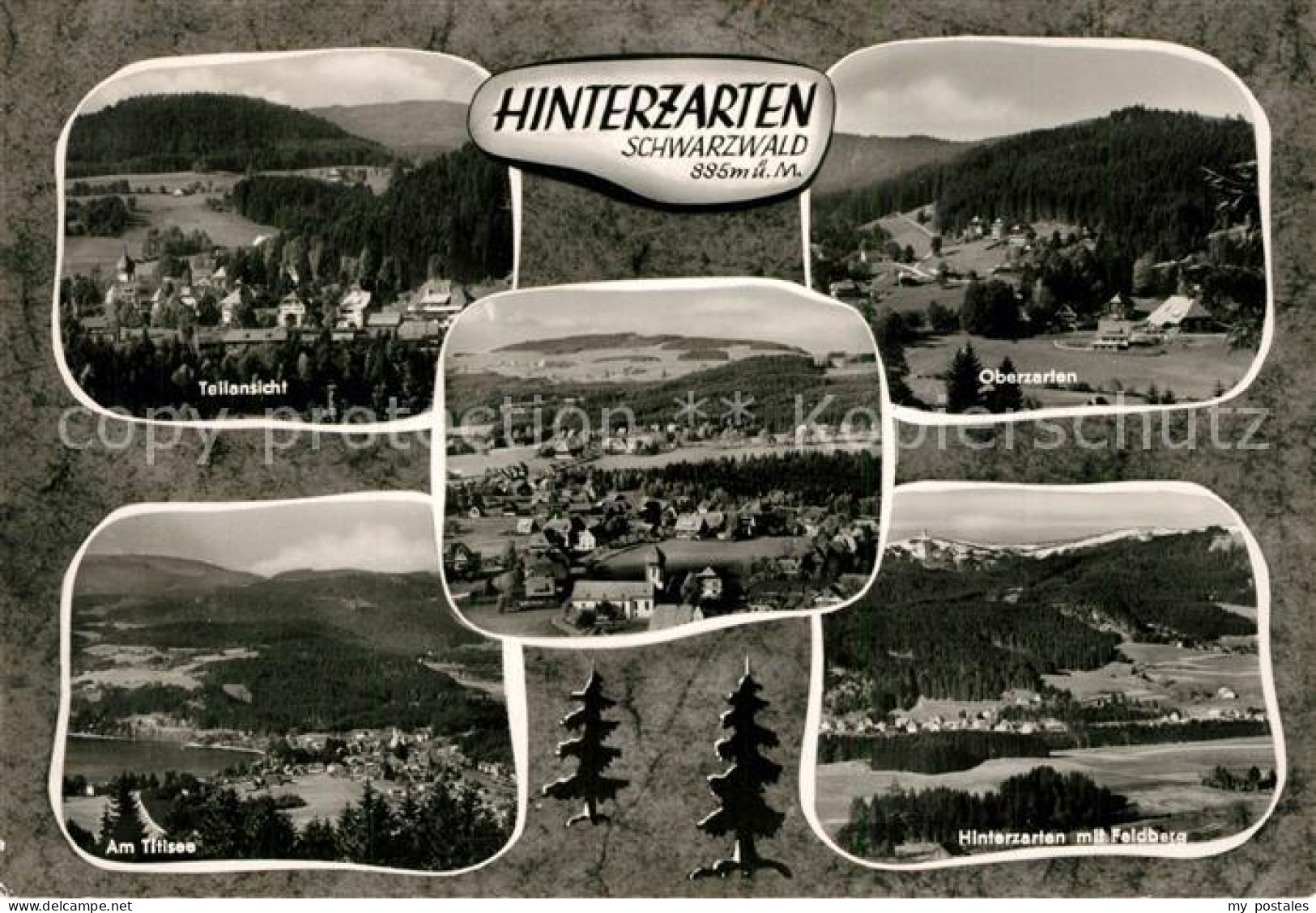 73281464 Hinterzarten Oberzarten Feldberg Titisee Hinterzarten - Hinterzarten