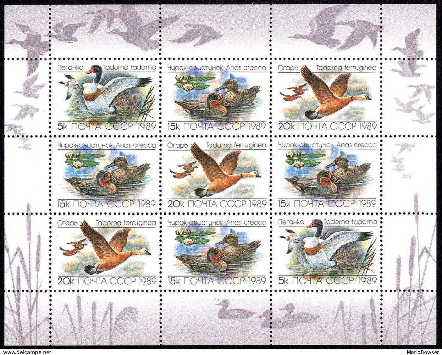Russia 5785a Sheet Of 9, MNH. Michel 5965-5967 Klb. Ducks 1989. - Unused Stamps