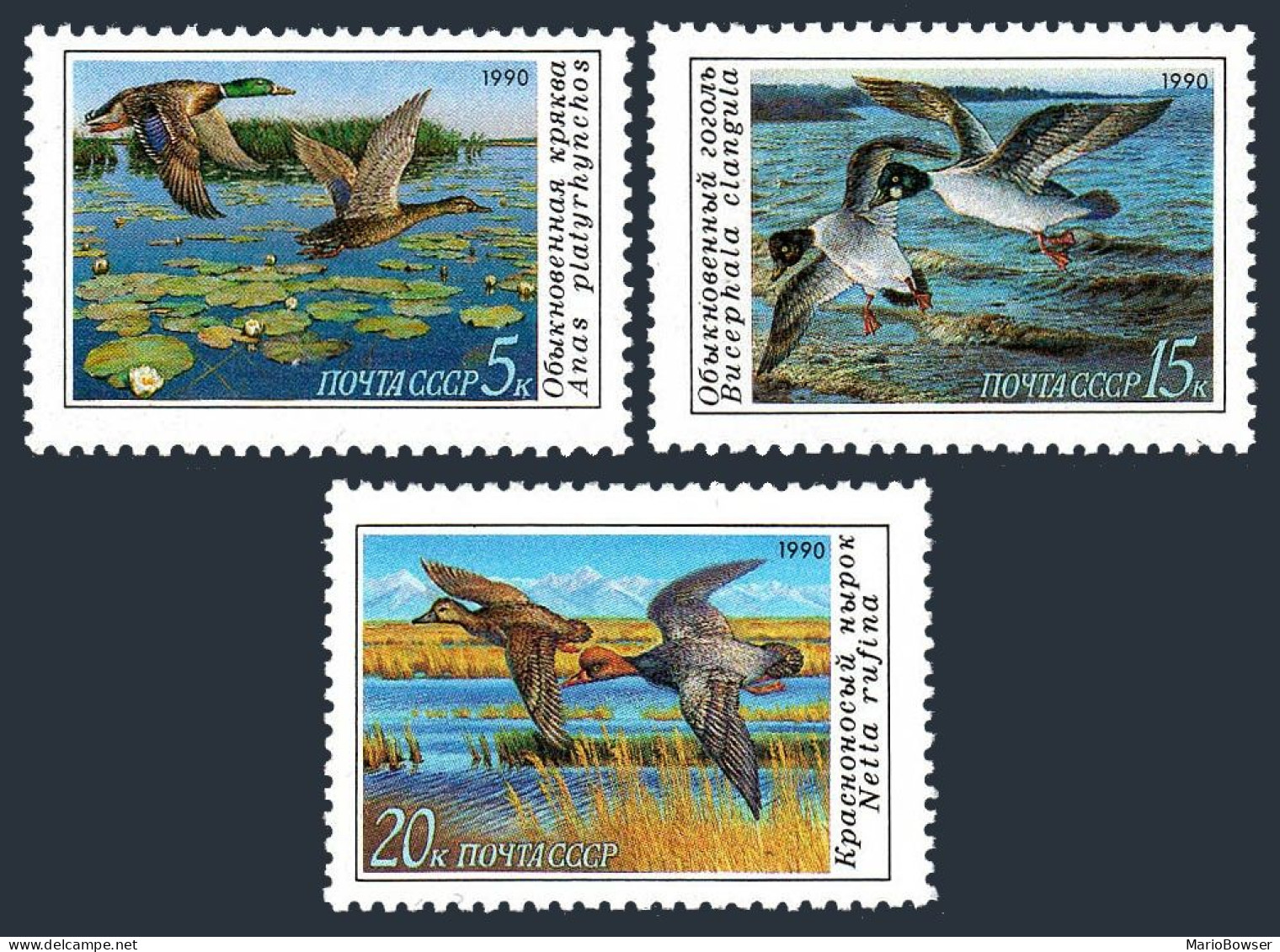 Russia 5906-5908, MNH. Michel 6099-6101. Duck Conservation, 1990. - Unused Stamps