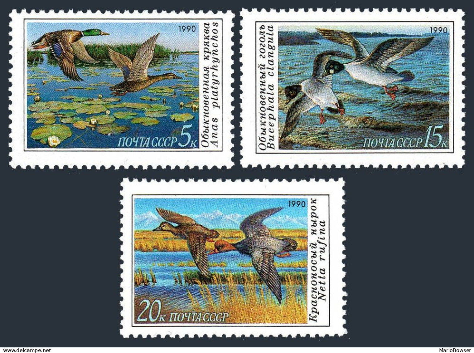 Russia 5906-5908 Sheets/36, MNH. Michel 6099-6101. Duck Conservation, 1990. - Ongebruikt