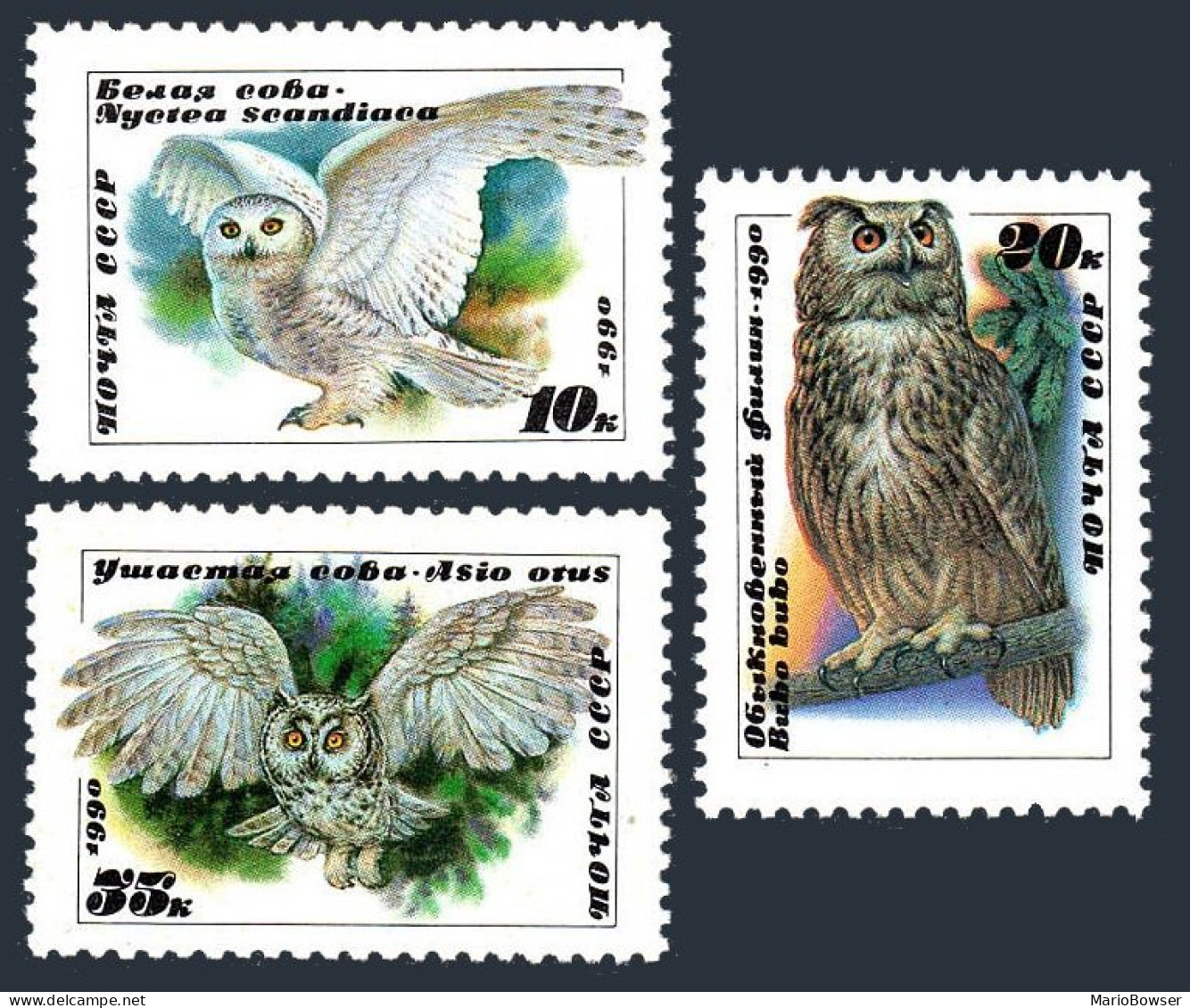 Russia 5871-5873, MNH. Michel 6063-6065. Owls 1990. - Unused Stamps