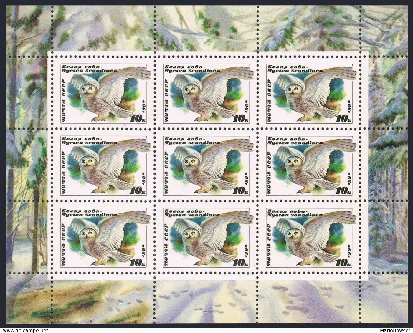 Russia 5871a Mini Sheet, MNH. Michel 6063 Klb. Owls 1990. - Ongebruikt