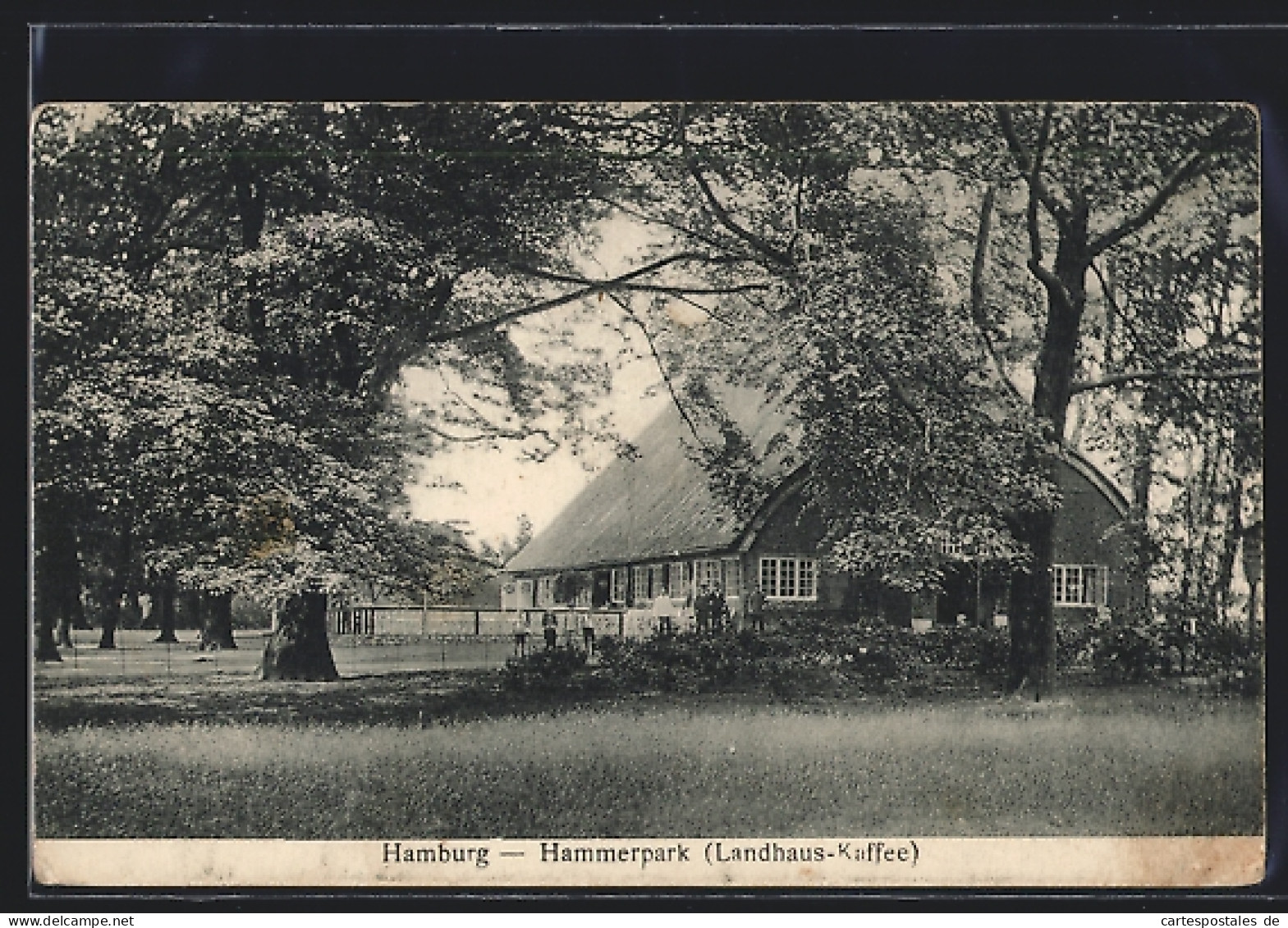 AK Hamburg-Hamm, Landhaus-Cafe Im Hammerpark  - Mitte