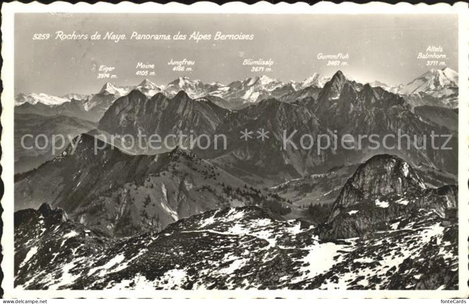 11660710 Rochers De Naye Panorama Des Alpes Bernoises Rochers De Naye - Autres & Non Classés