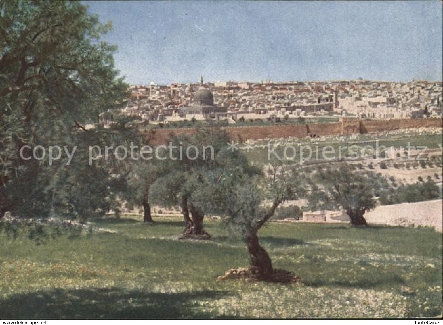 11660289 Jerusalem Yerushalayim Blick Vom Oelberg  - Israele