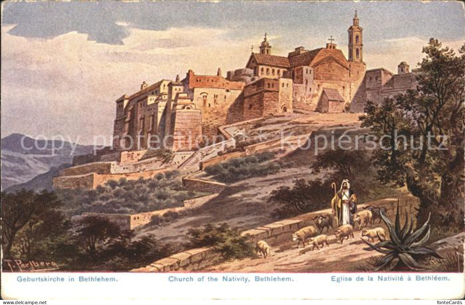11659987 Bethlehem Yerushalayim Geburtskirche Eglise De La Nativite  - Israel