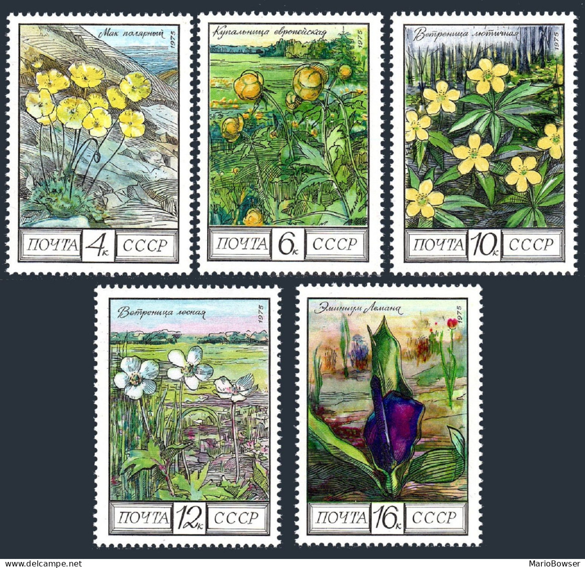 Russia 4394-4398, MNH. Michel 4428-4432. Regional Flowers, 1975. - Neufs