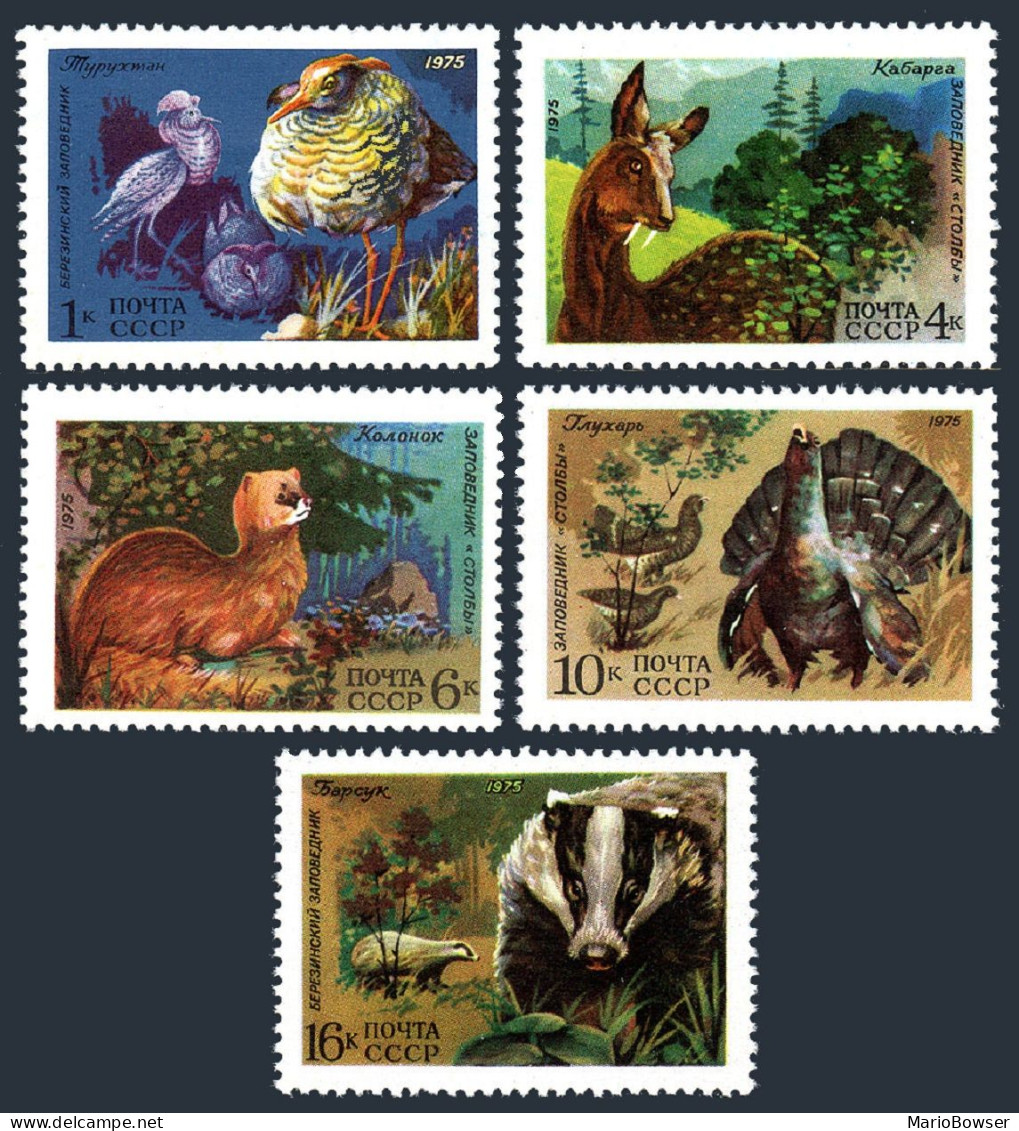 Russia 4361-4365,MNH. Berezina River,Stolby Reservation Wildlife,1975.Male Ruffs - Unused Stamps