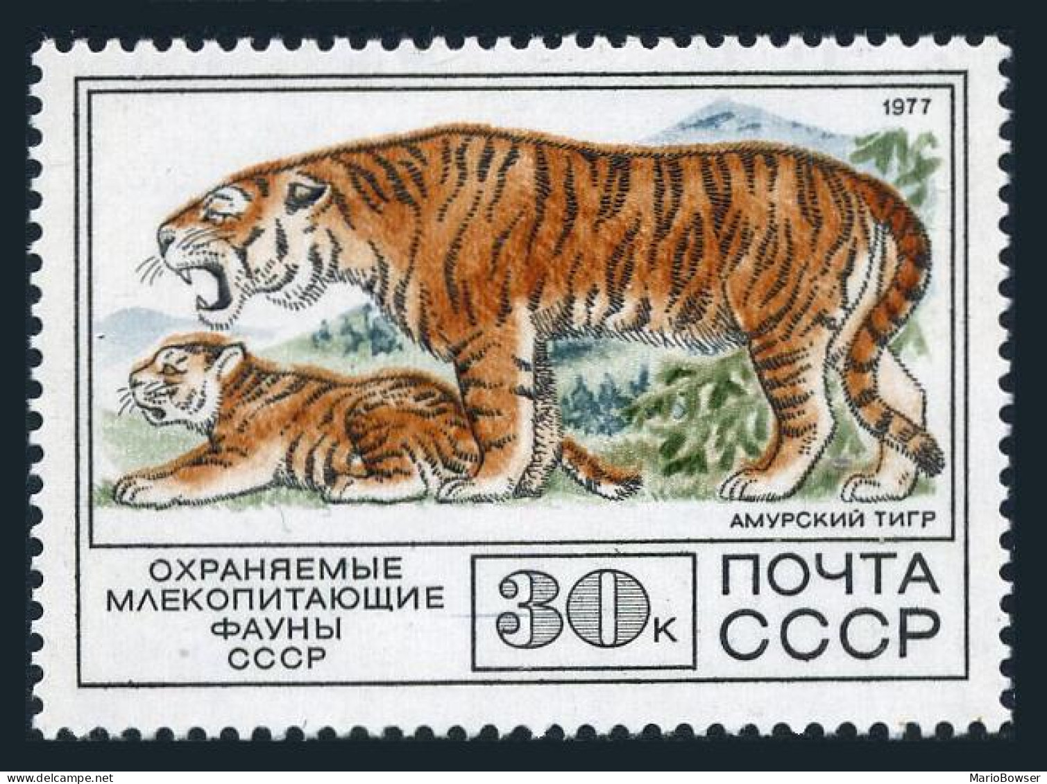 Russia 4633,MNH.Michel 4685. Protected Fauna,1977.Tiger. - Ongebruikt