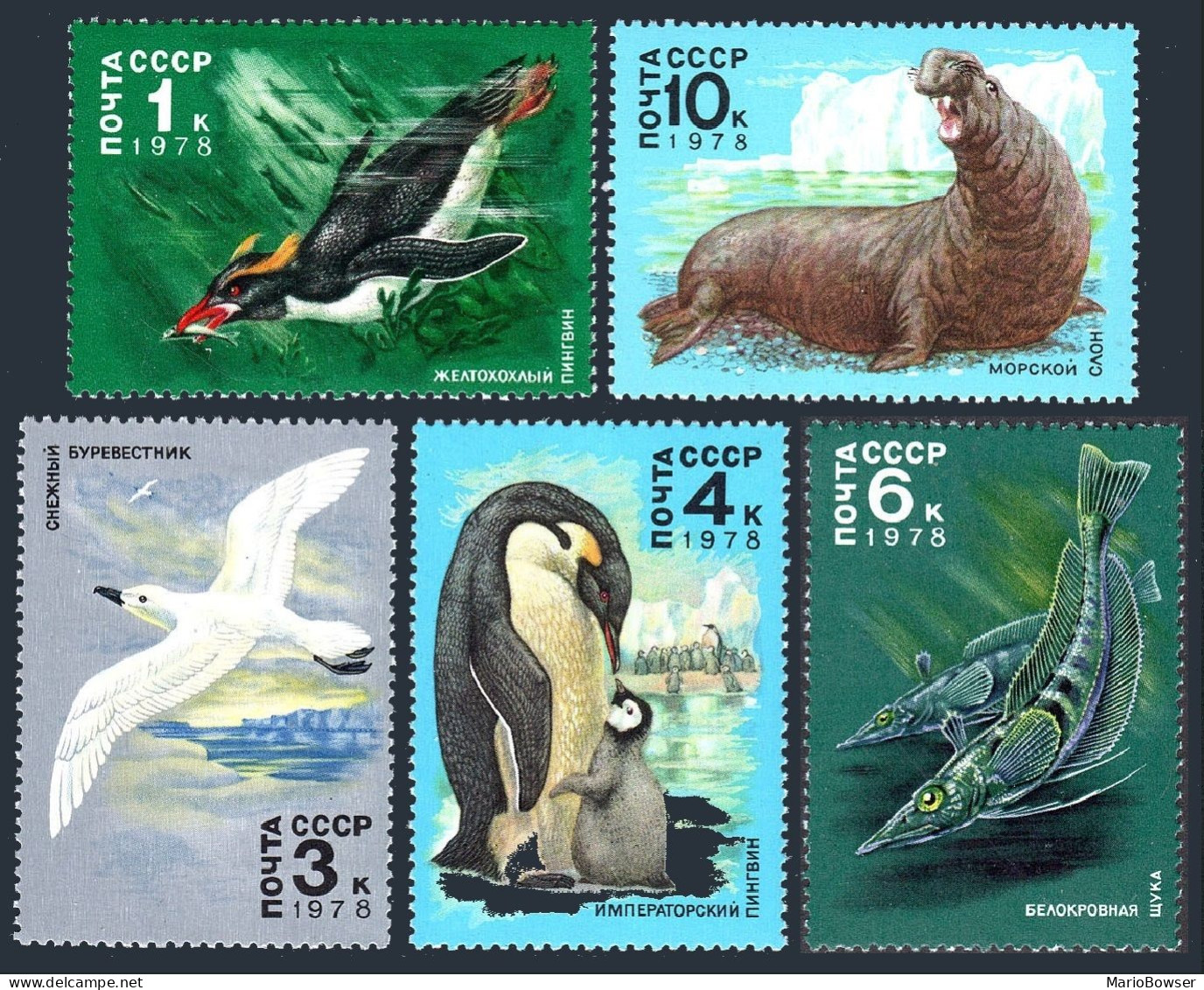 Russia 4679-4683, MNH. Mi 4742-4746. Antarctic Fauna,1978. Penguins,Sea Elephant - Ungebraucht