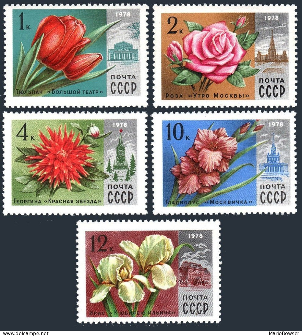 Russia 4649-4653, MNH. Michel 4722-4726. Moscow Name Flowers, 1978. - Nuovi