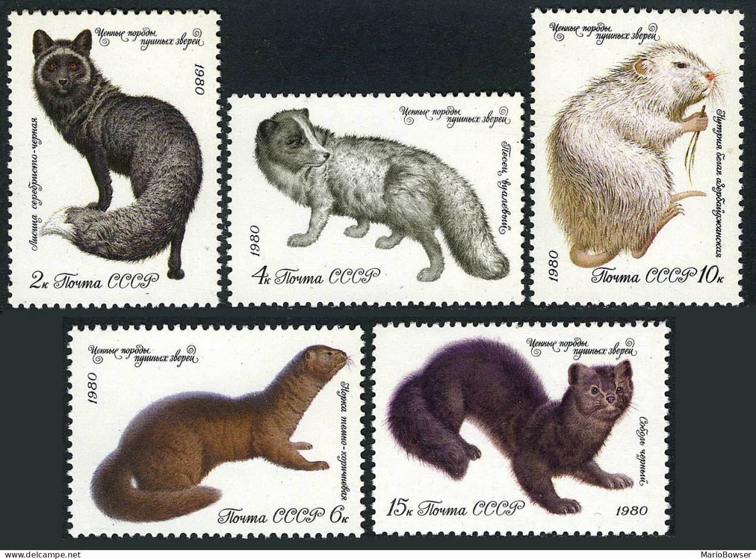 Russia 4838-4842, MNH. Michel 4968-4972. Animals 1980.Dark Silver Fox,Polar Fox, - Ungebraucht