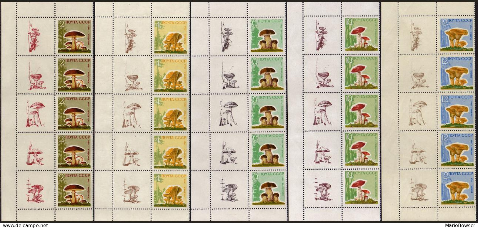 Russia 2963-2967 Glossy Paper,sheets.MNH.Michel 2983y-2987y-zf. Mushrooms,1964. - Nuevos