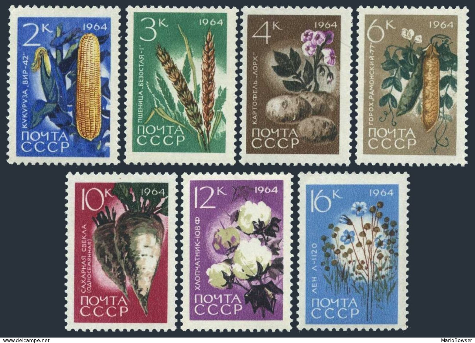Russia 2913-2919, MNH. Mi 2922-2928A. Agricultural Plants, 1964. Corn,Wheat,Bean - Nuevos