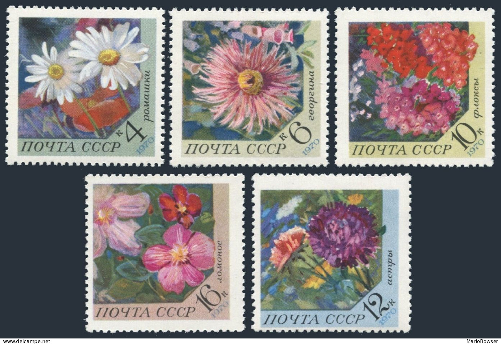 Russia 3789-3793,MNH.Michel 3818-3822. Flowers 1970:Daisy,Dahlia,Phiox,Aster, - Ongebruikt