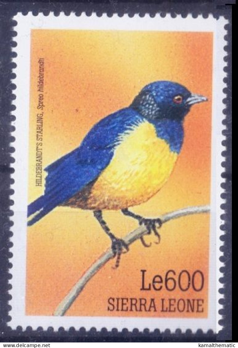 Hildebrandt's Starling, Birds, Sierra Leone 1999 MNH - Sonstige & Ohne Zuordnung