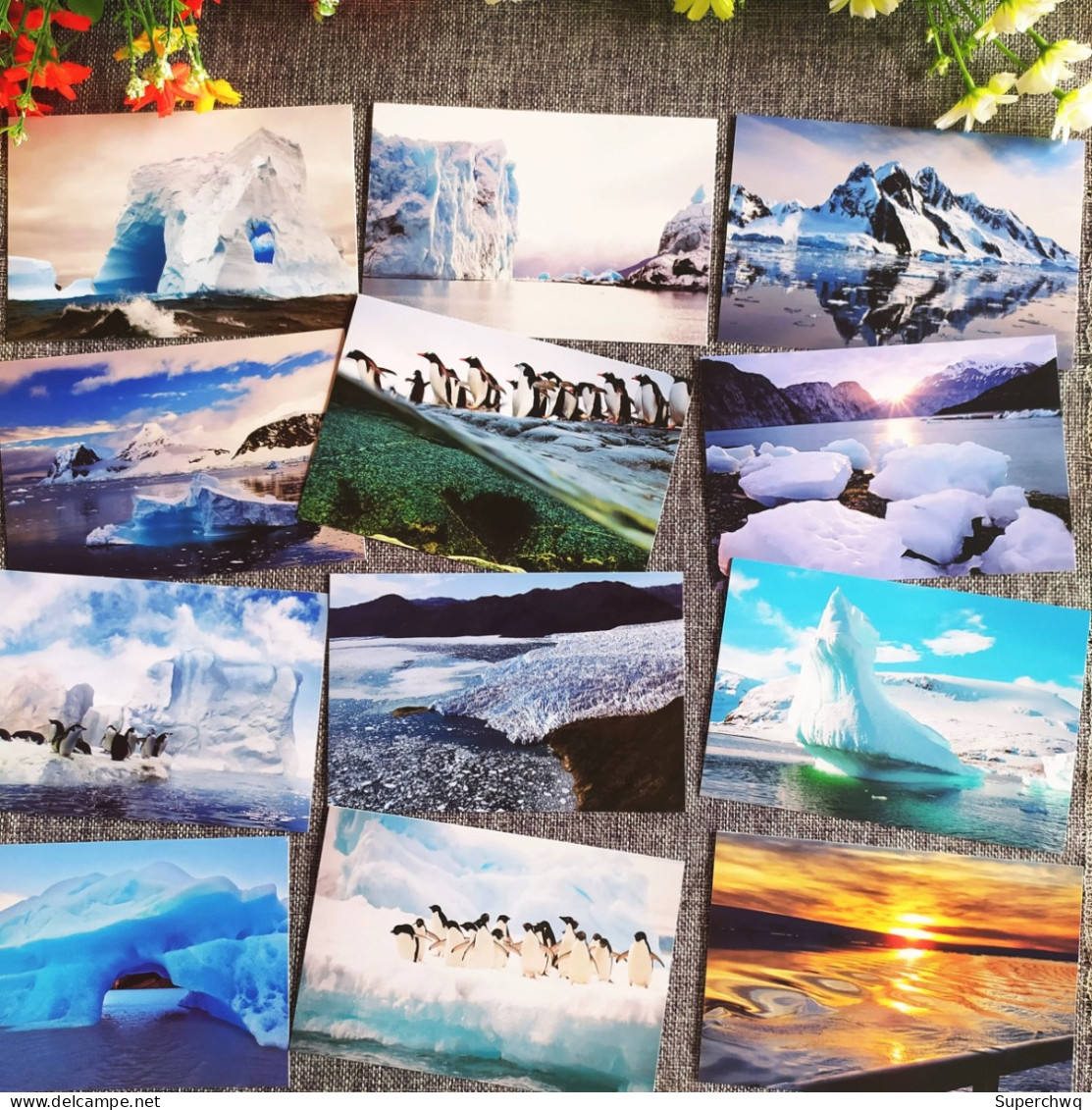 China Postcard A Set Of 16 Polar Close-up Postcards With Ice And Snow In Antarctica - China