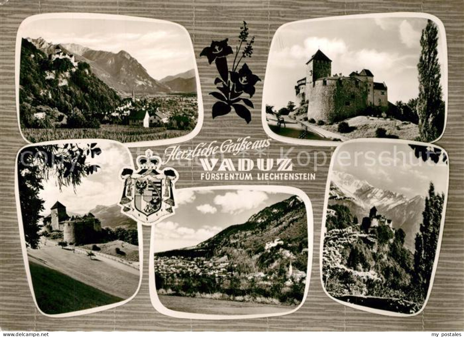 73279070 Vaduz Schloss Vaduz - Liechtenstein