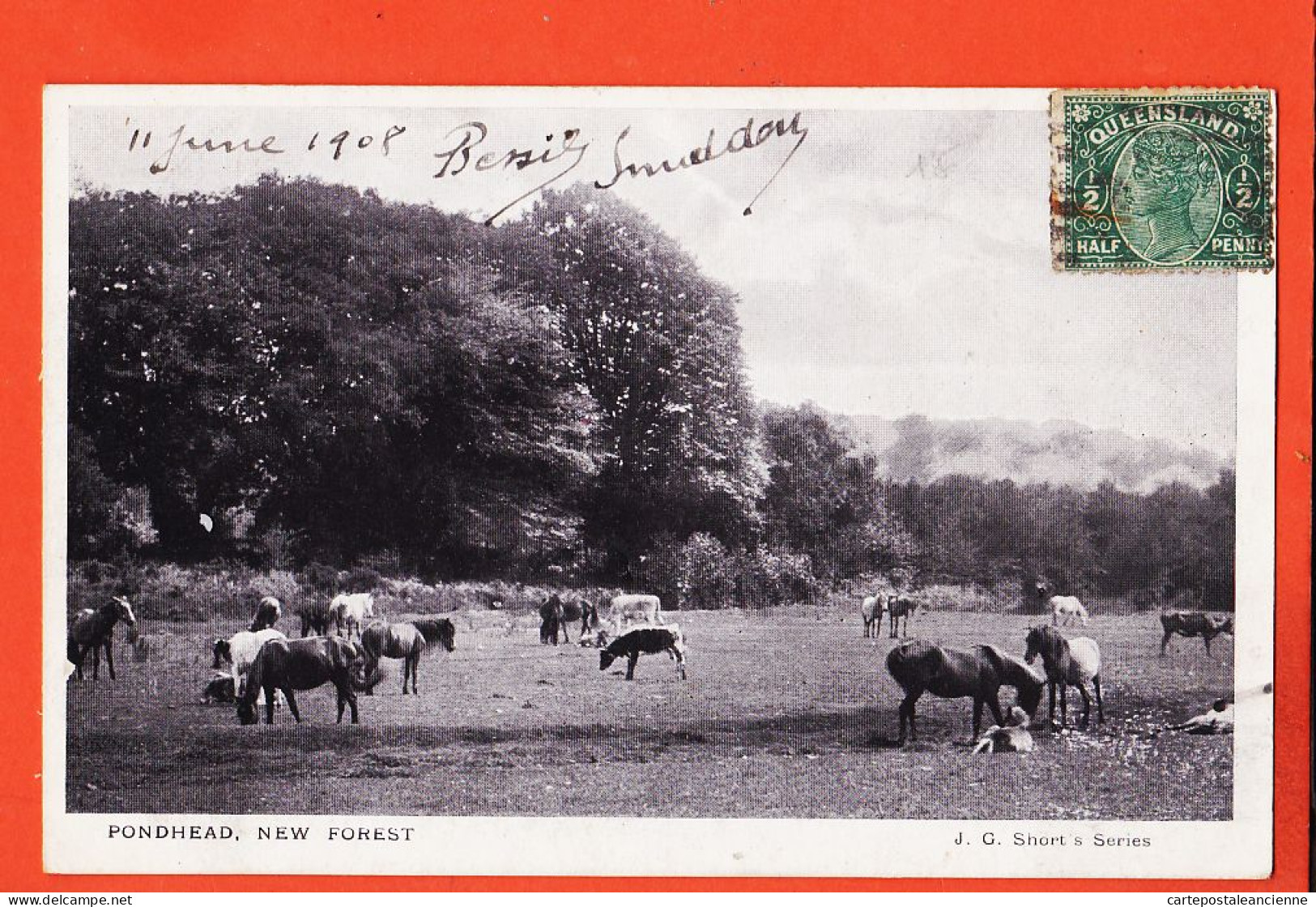 08094 / ⭐ ◉ Rare Queensland PONDHEAD New Forest 1908 J.G SHORT Series Australie - Autres & Non Classés