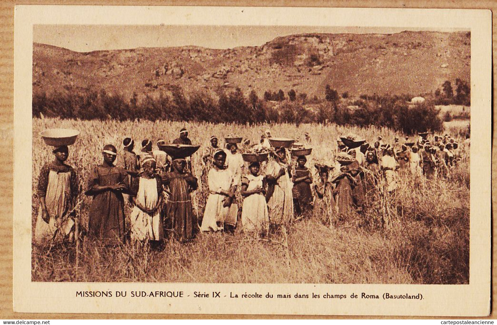 08013 ● Ethnic BASUTOLAND ROMA Récolte Maïs Champs Missions SUD-AFRIQUE Missionnaires OBLATS Marie-Immaculée - Afrique Du Sud