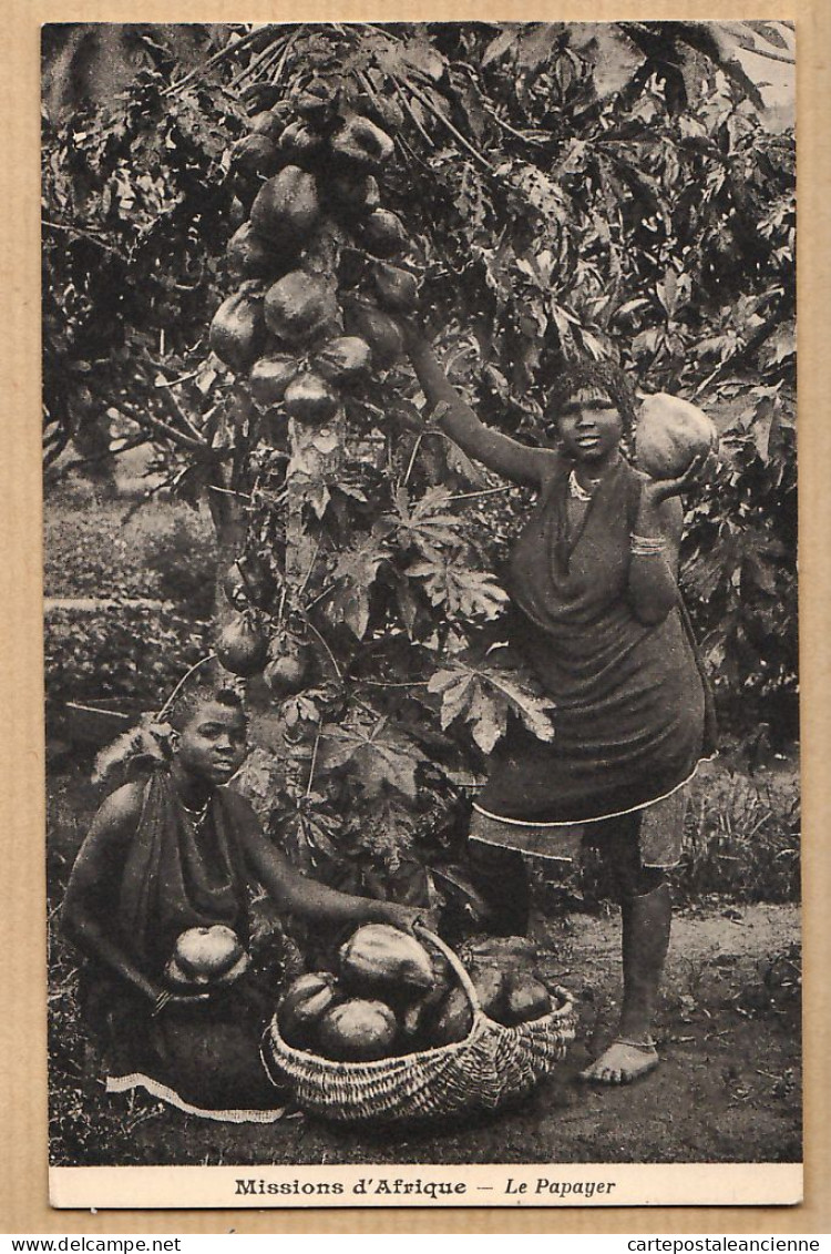 08024 ● A.O.F Ou A.E.F Missions D'AFRIQUE Récolte Papaye Arbre Le PAPAYER Fruit Flore Africaine CPA 1920s CPDOM - Non Classés