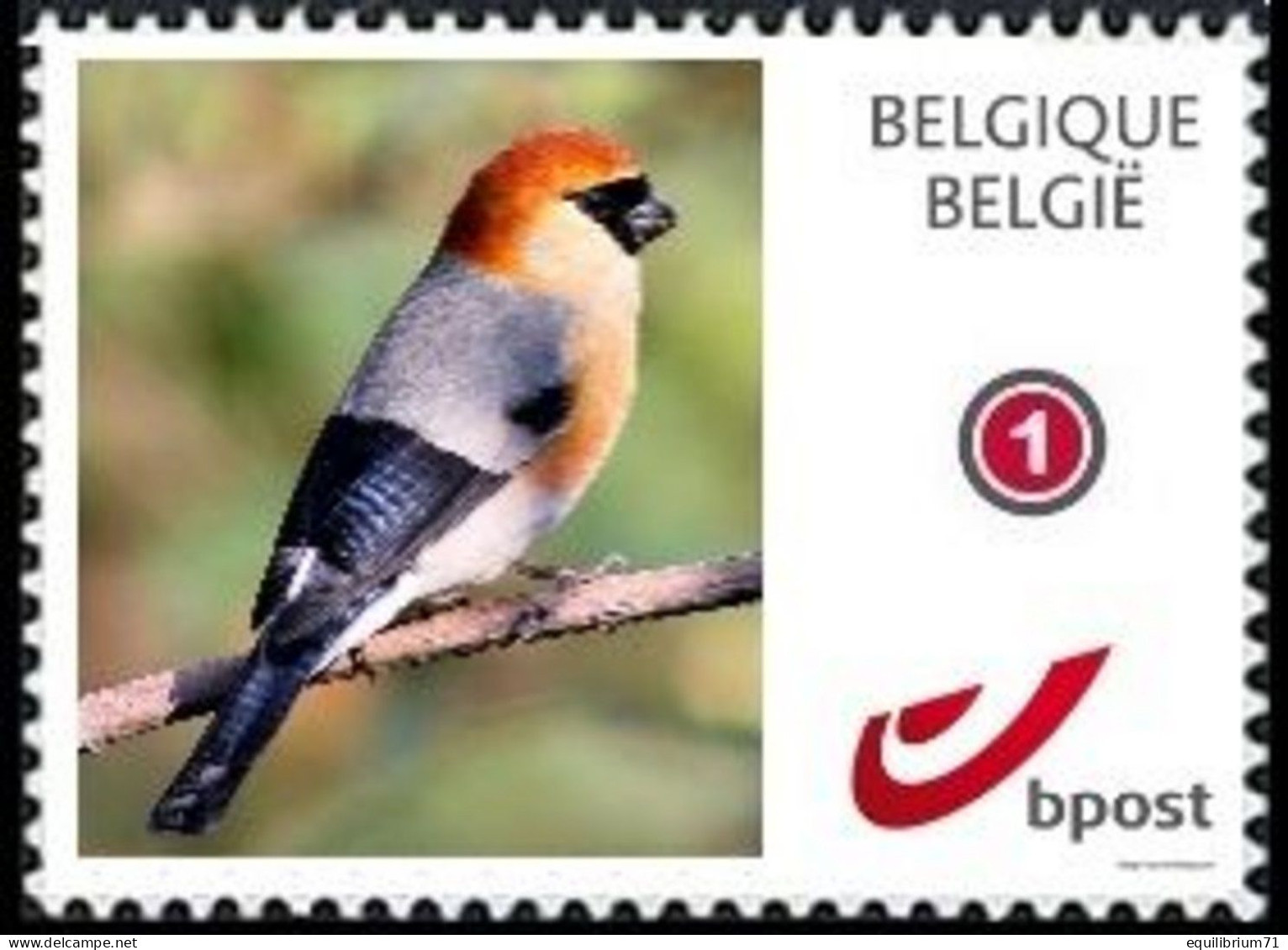 DUOSTAMP**/MYSTAMP** - Le Bouvreuil à Tête Rouge/De Roodharige Goudvink/Der Rothaarige Gimpel (Pyrrhula Erythrocephala) - Zangvogels