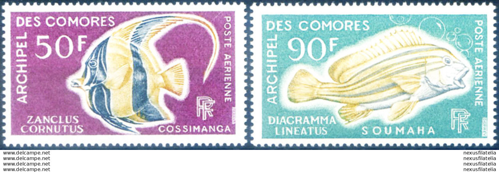 Fauna. Pesci 1968. - Comoros