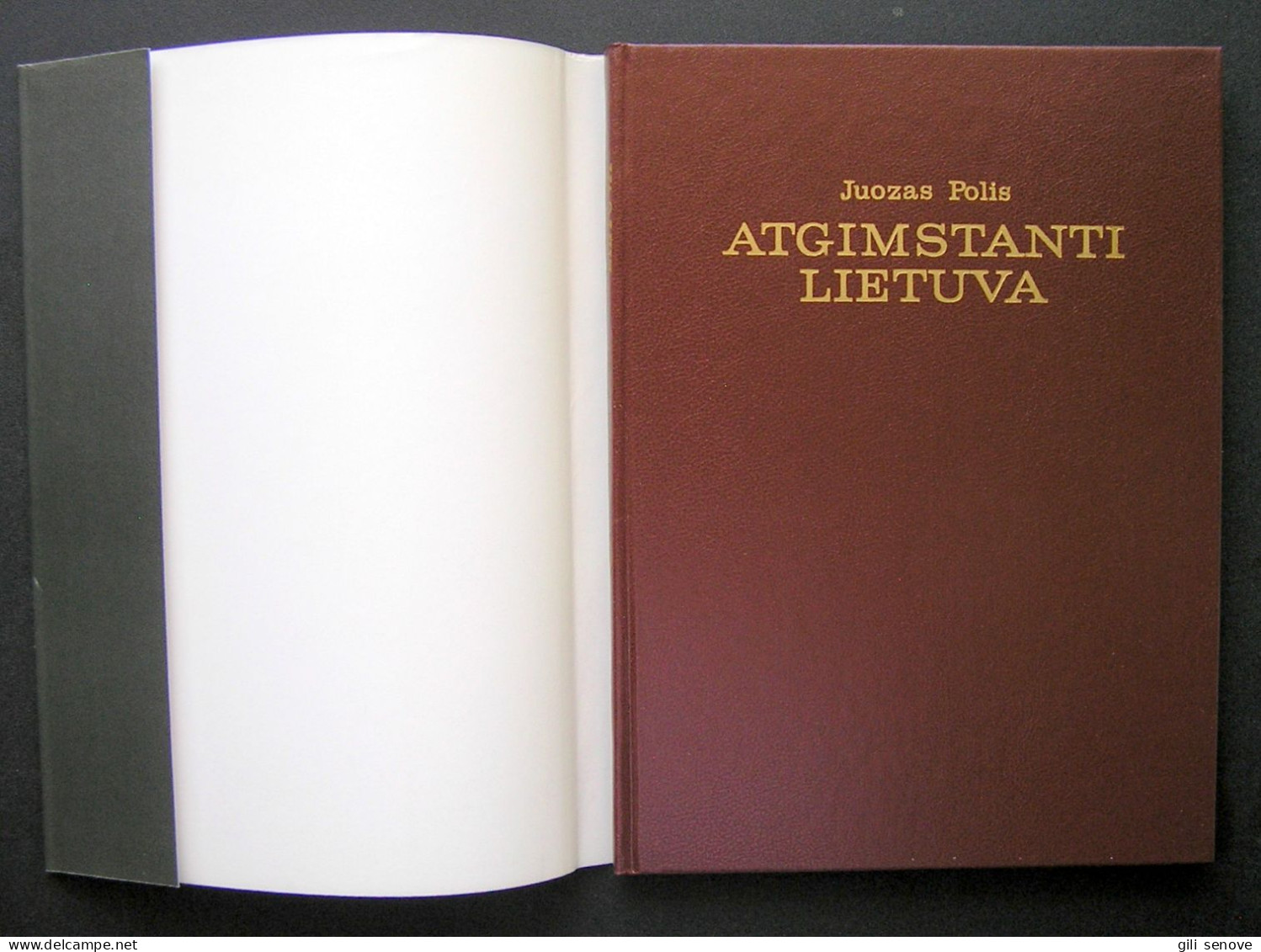 Lithuanian Book / Atgimstanti Lietuva 1989 - Cultura