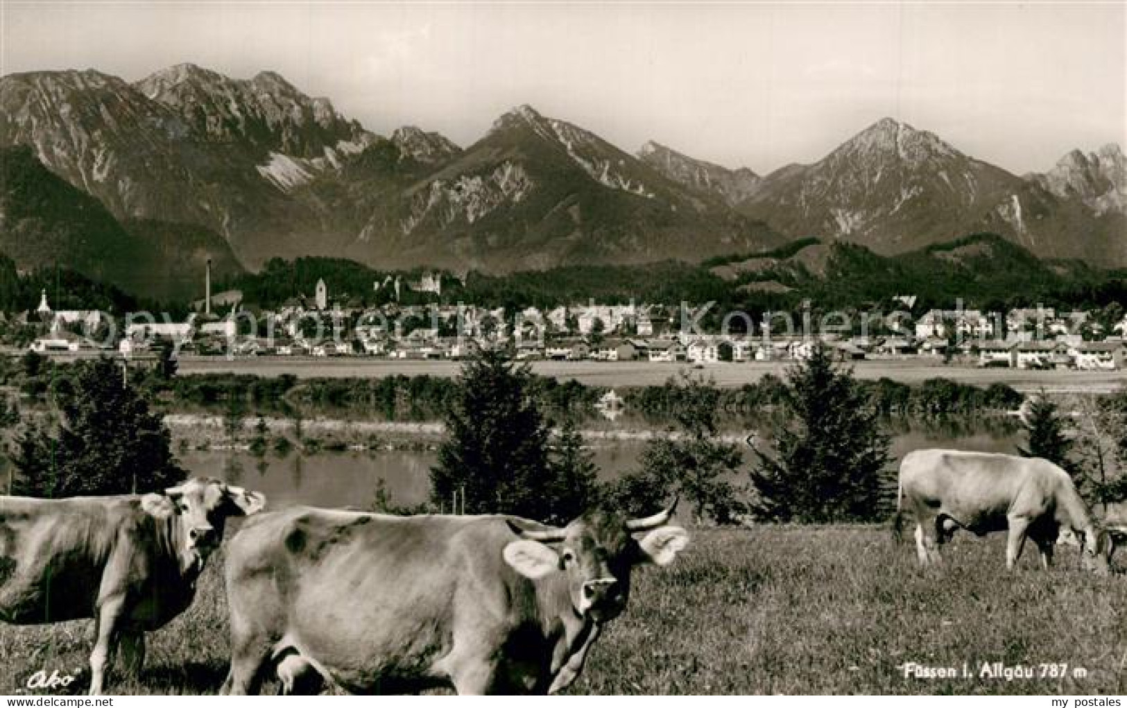 73272179 Fuessen Allgaeu Panorama Viehweide Fuessen Allgaeu - Fuessen