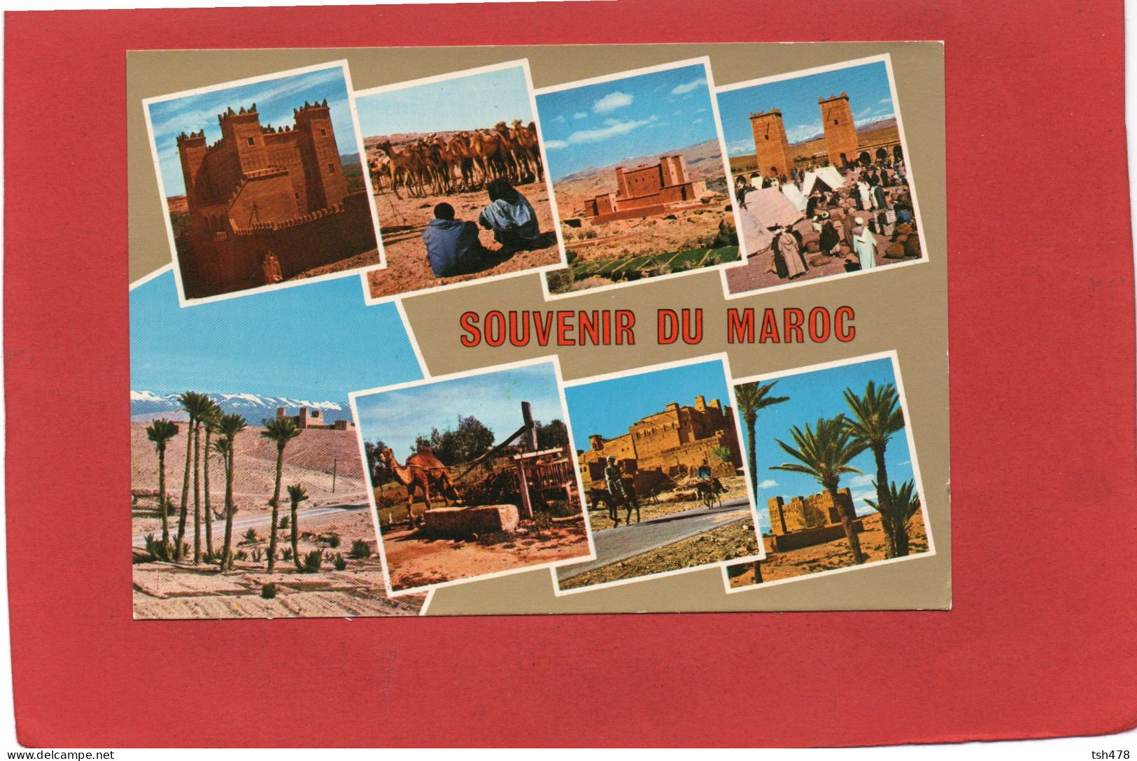 MAROC--- SOUVENIR DU MAROC---SUD MAROCAIN---multi-vues--voir 2 Scans - Other & Unclassified