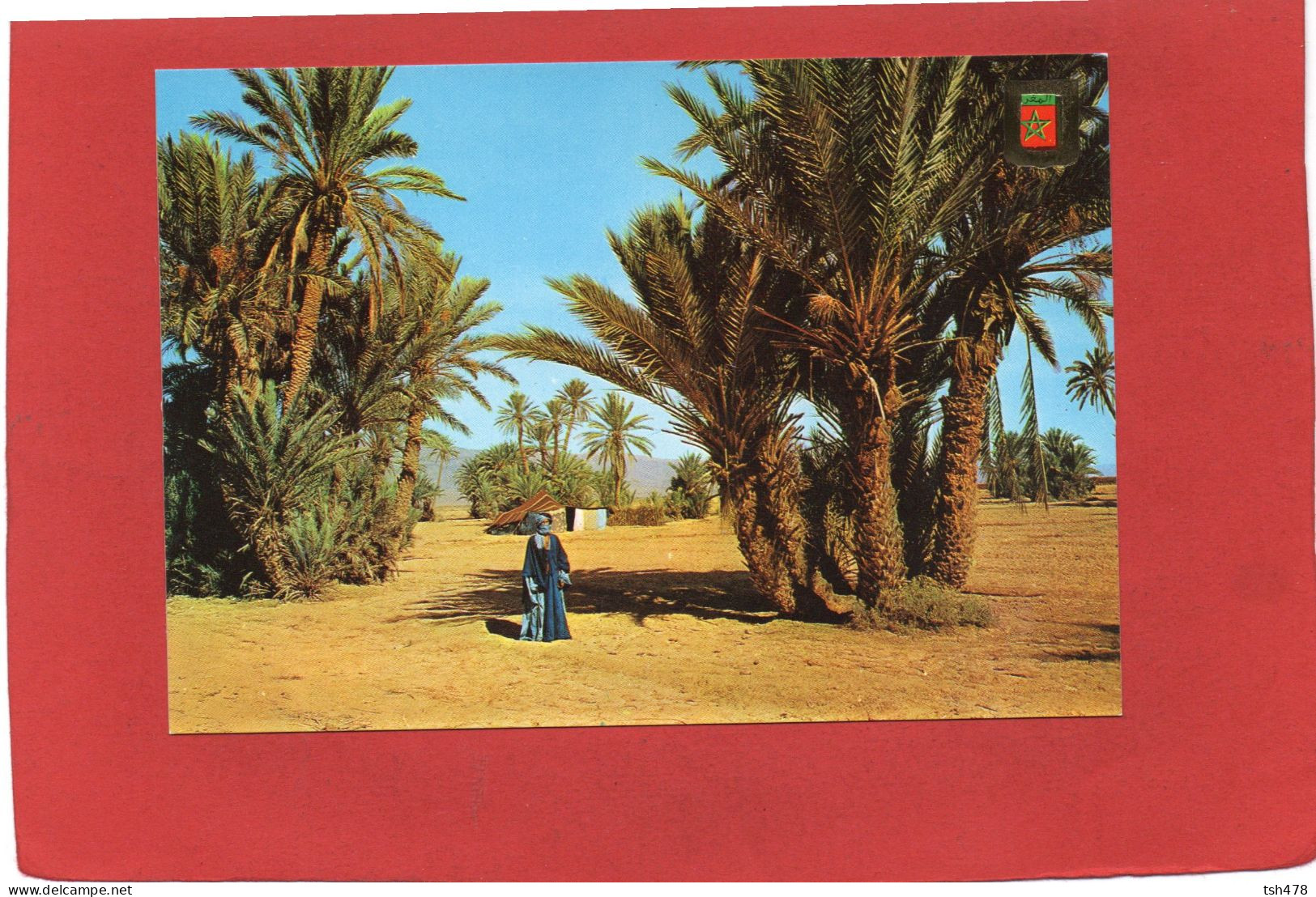 MAROC--- MARRUECOS TIPICO---MAROC TYPIQUE---SUD MAROCAIN--Oasis---voir 2 Scans - Other & Unclassified