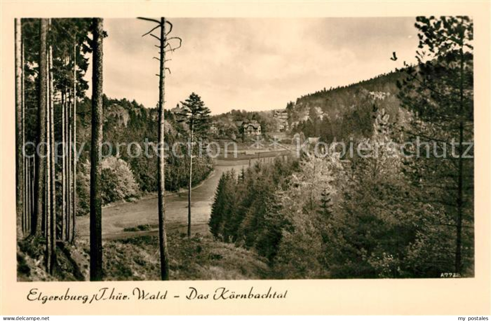 73271985 Elgersburg Panorama Koernbachtal Thueringer Wald Elgersburg - Elgersburg