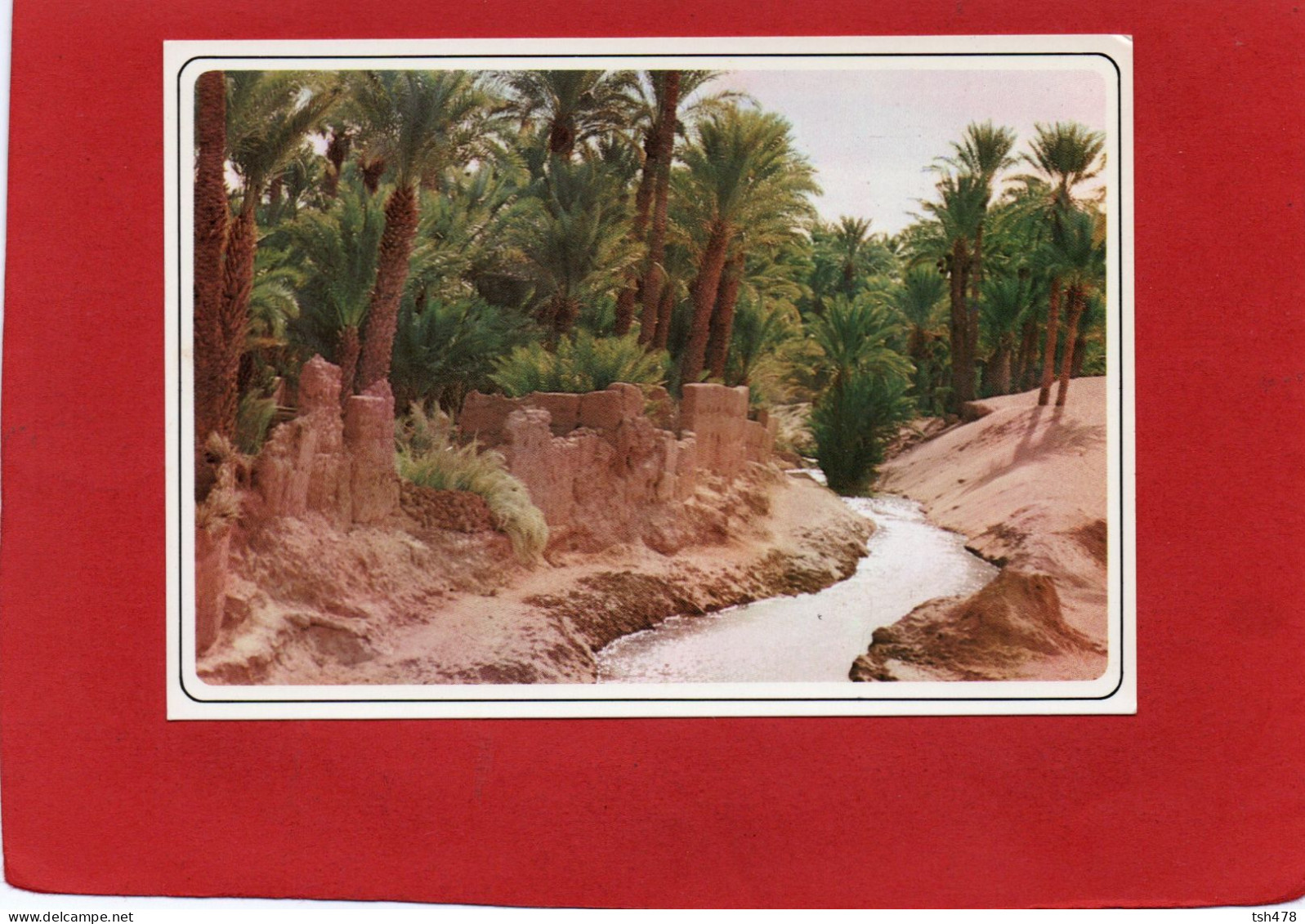 MAROC --MAROC TYPIQUE--Sud Marocain--voir 2 Scans - Other & Unclassified