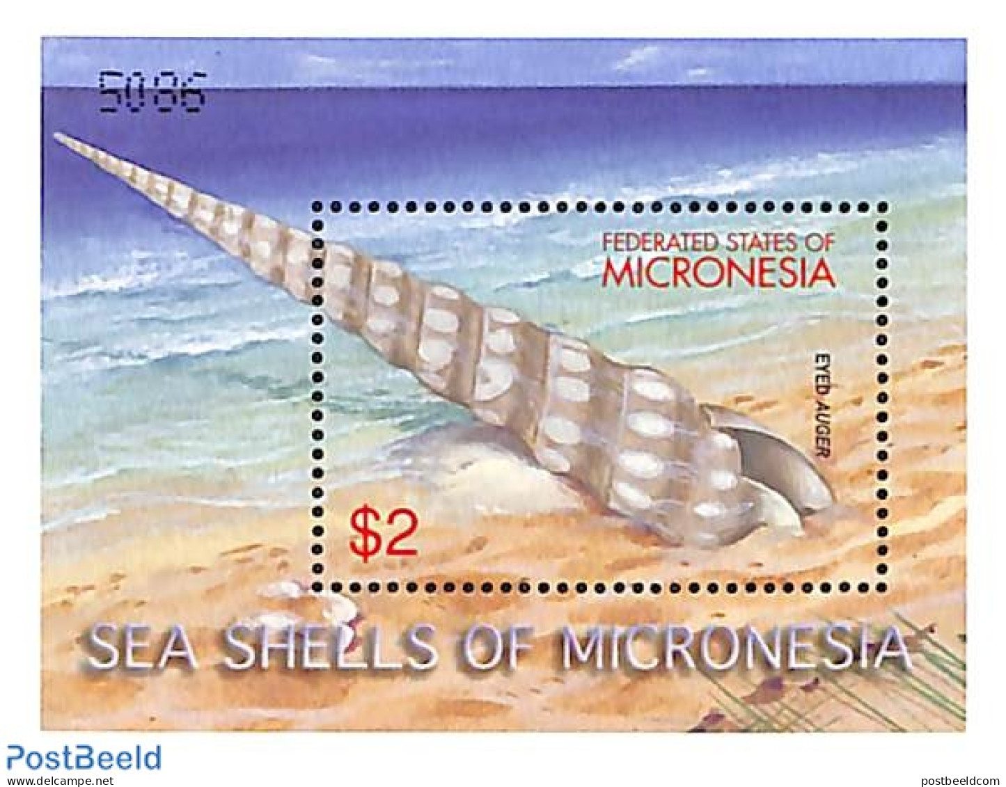 Micronesia 2001 Shells S/s, Eyed Auger, Mint NH, Nature - Shells & Crustaceans - Maritiem Leven