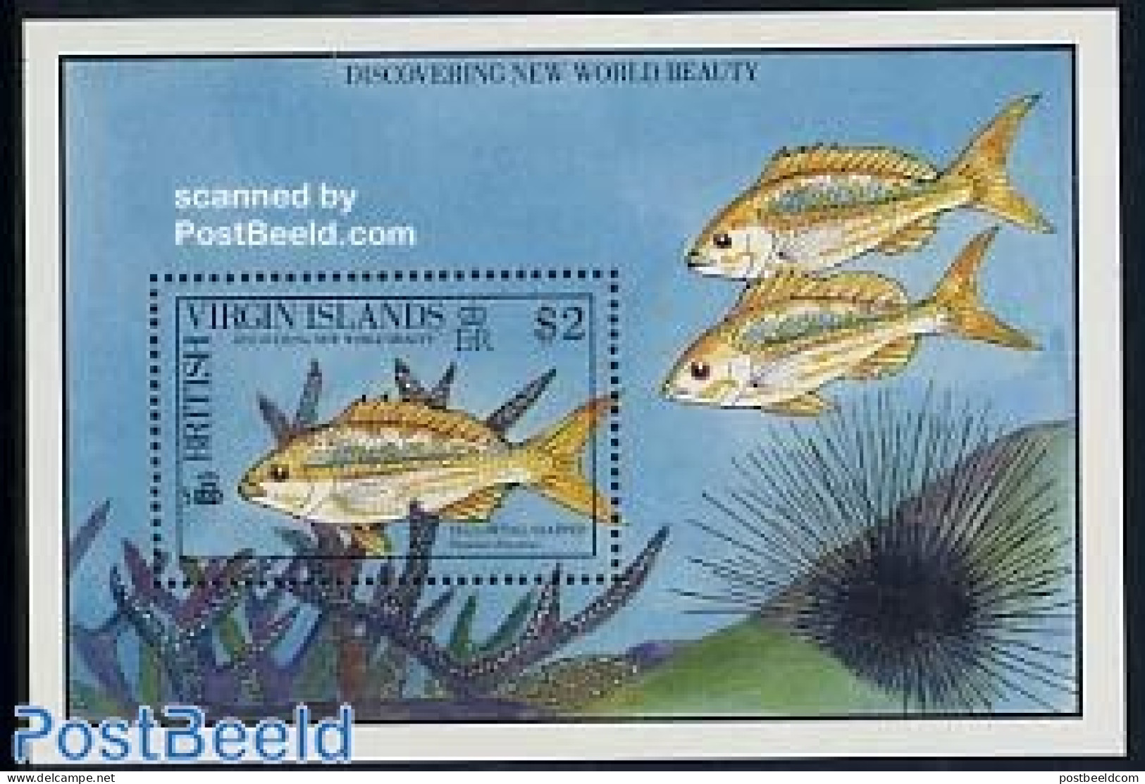 Virgin Islands 1990 Fish S/s, Mint NH, Nature - Fish - Fishes