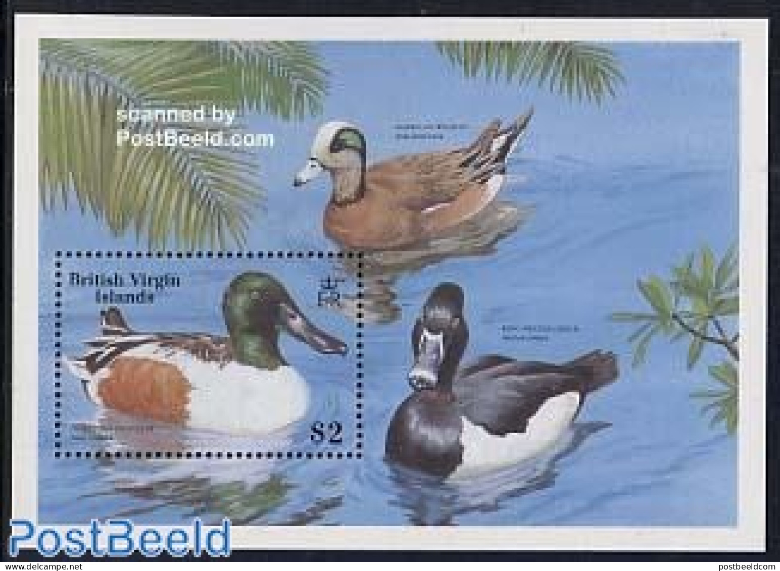 Virgin Islands 1988 WWF, Birds S/s, Mint NH, Nature - Birds - Ducks - World Wildlife Fund (WWF) - Iles Vièrges Britanniques