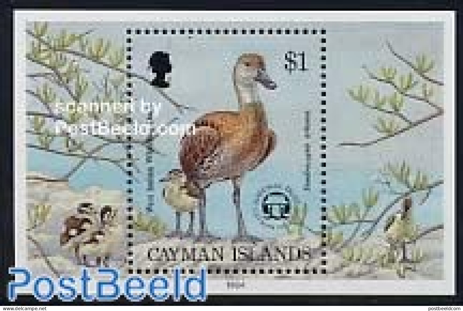 Cayman Islands 1994 Birds S/s, Mint NH, Nature - Birds - Iles Caïmans