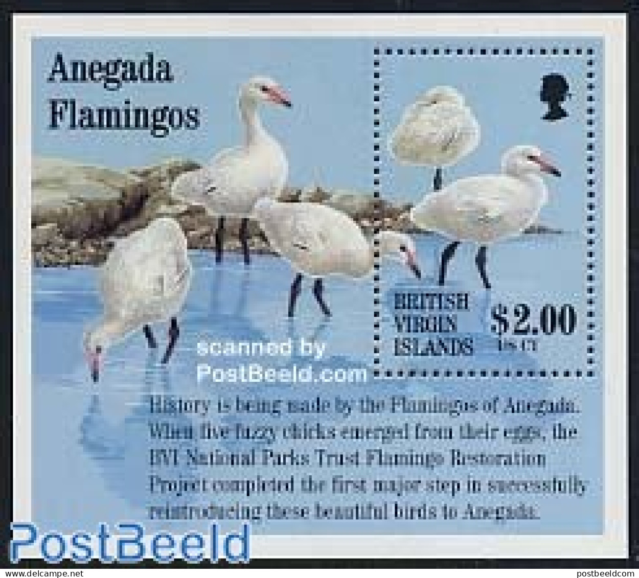 Virgin Islands 1995 Flamingos S/s, Mint NH, Nature - Birds - Iles Vièrges Britanniques