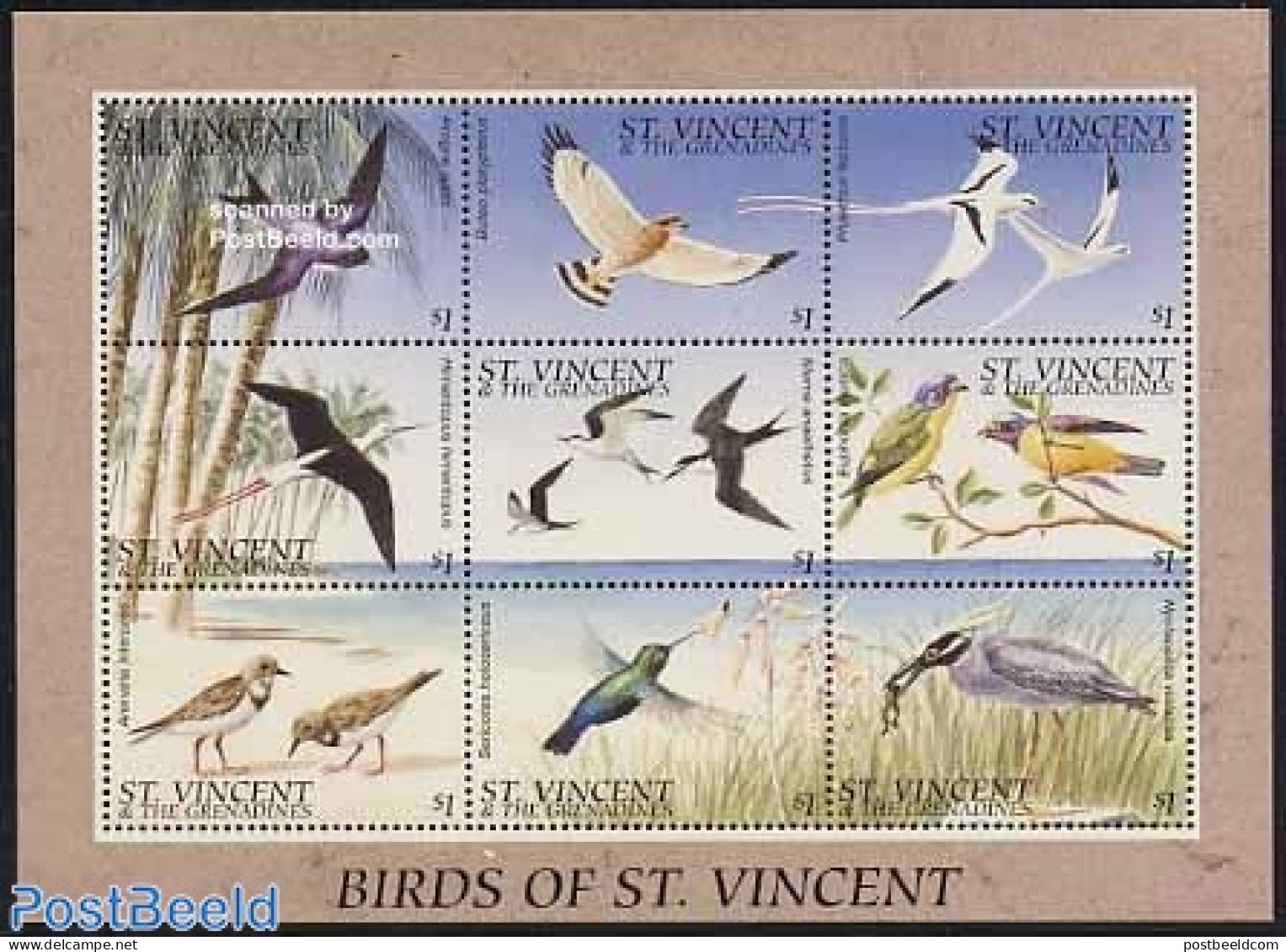Saint Vincent 1996 Birds 9v M/s, Mint NH, Nature - Birds - Frogs & Toads - St.Vincent (1979-...)