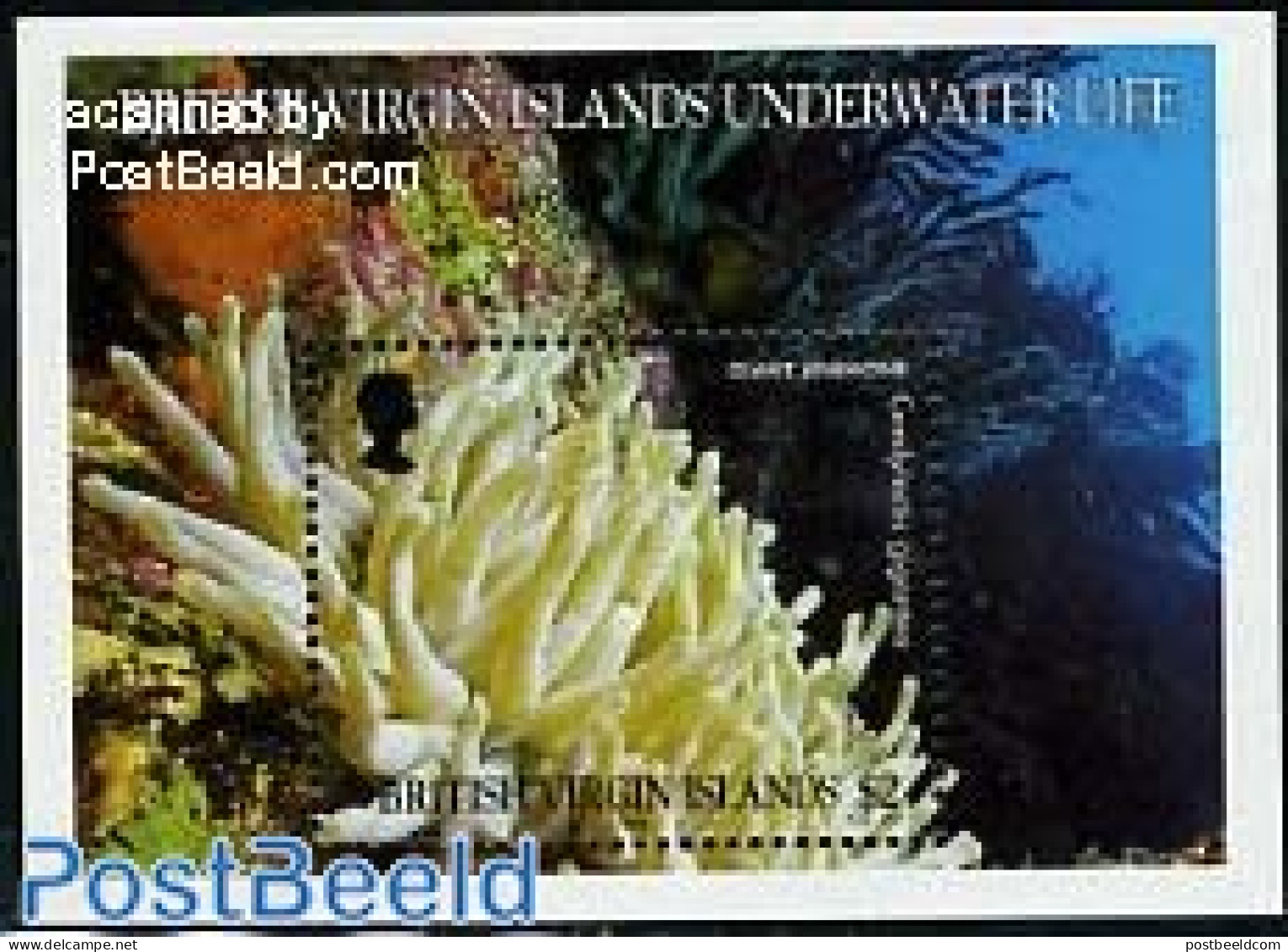 Virgin Islands 1998 Marine Life S/s, Mint NH, Nature - Britse Maagdeneilanden