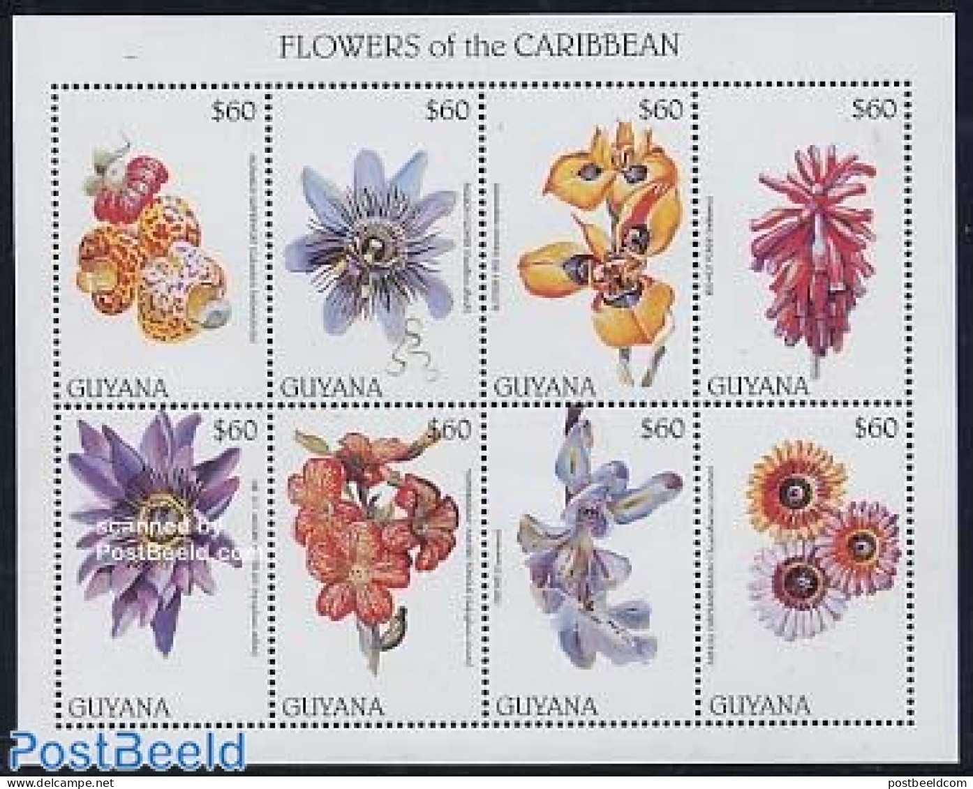 Guyana 1997 Carribbean Flowers 8v M/s, Mint NH, Nature - Flowers & Plants - Guiana (1966-...)