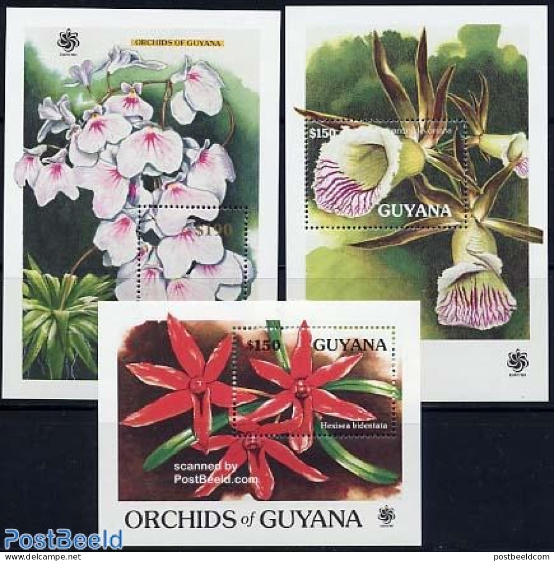 Guyana 1990 Orchids 3 S/s, Mint NH, Nature - Flowers & Plants - Orchids - Guyana (1966-...)
