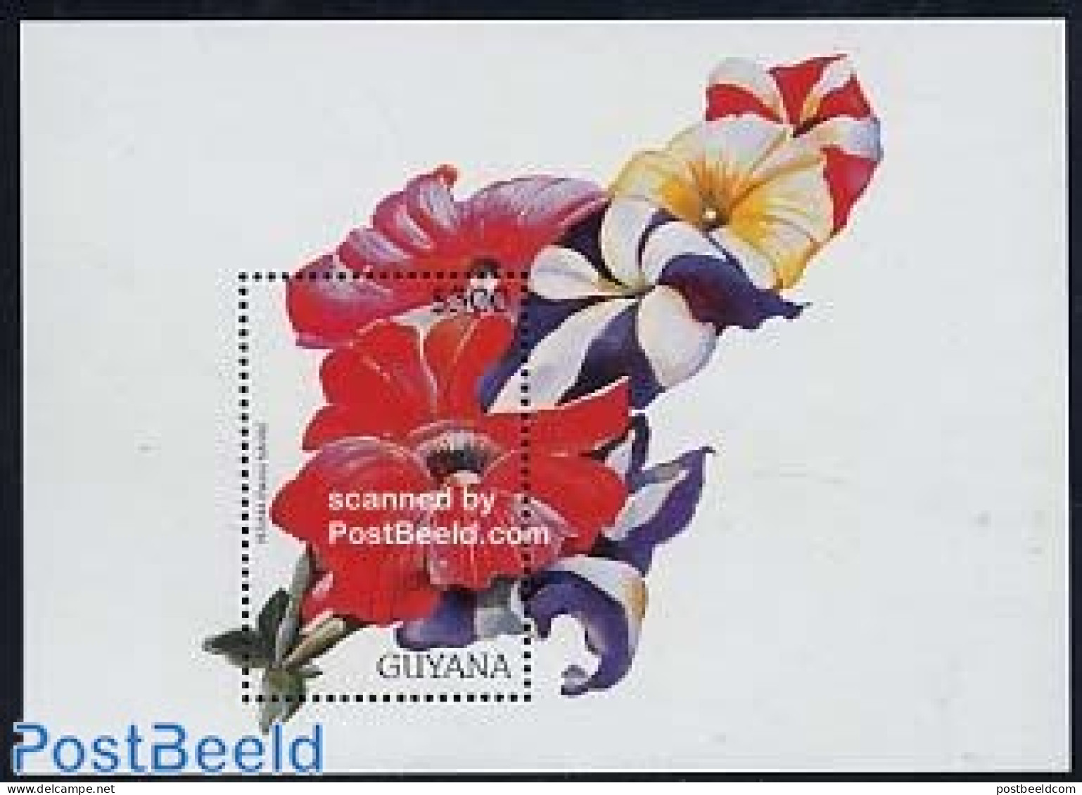 Guyana 1997 Petunia Hybride S/s, Mint NH, Nature - Flowers & Plants - Guiana (1966-...)