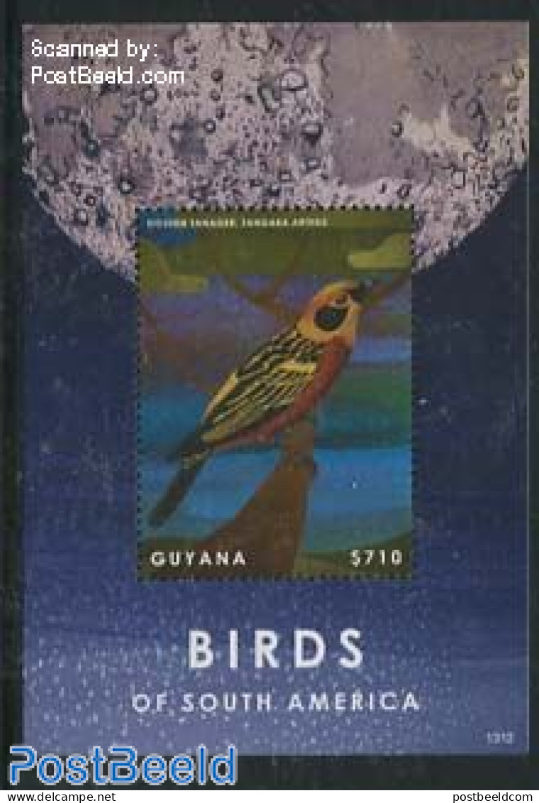 Guyana 2013 Birds Of South America S/s, Mint NH, Nature - Birds - Guyane (1966-...)