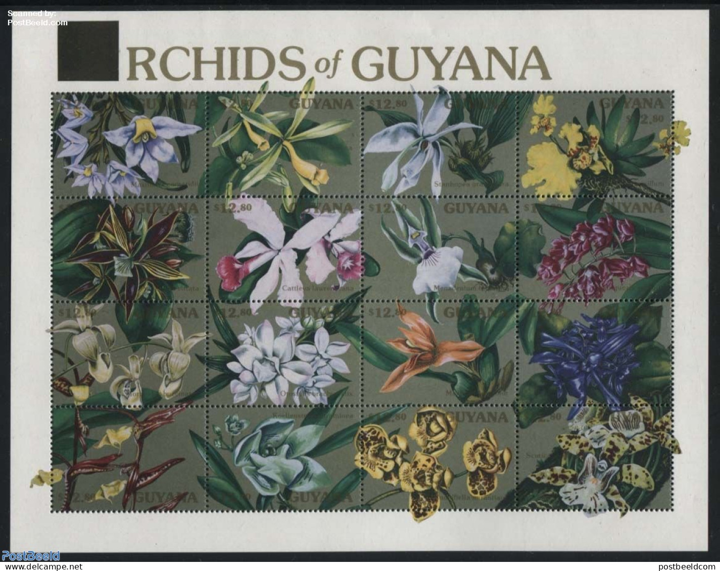 Guyana 1990 Orchids 16v M/s, Mint NH, Nature - Flowers & Plants - Orchids - Guyane (1966-...)