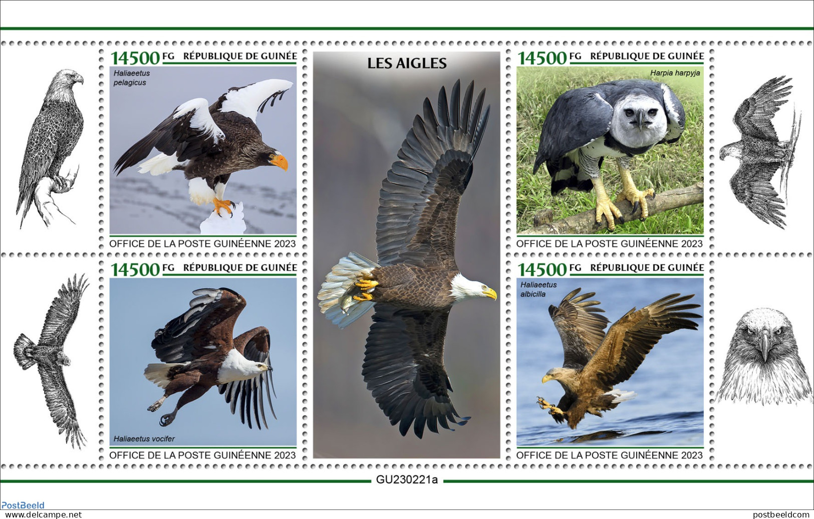Guinea, Republic 2023 Eagles, Mint NH, Nature - Birds - Birds Of Prey - Autres & Non Classés