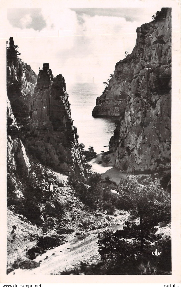 13-CASSIS-N°4466-C/0305 - Cassis