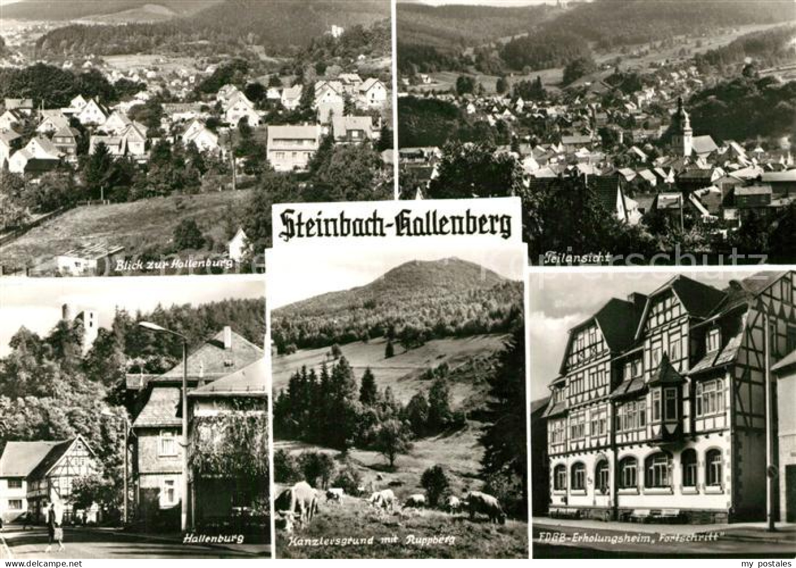 73271471 Steinbach Hallenberg Panorama Blick Zur Hallenburg Kanzlersgrund Ruppbe - Schmalkalden