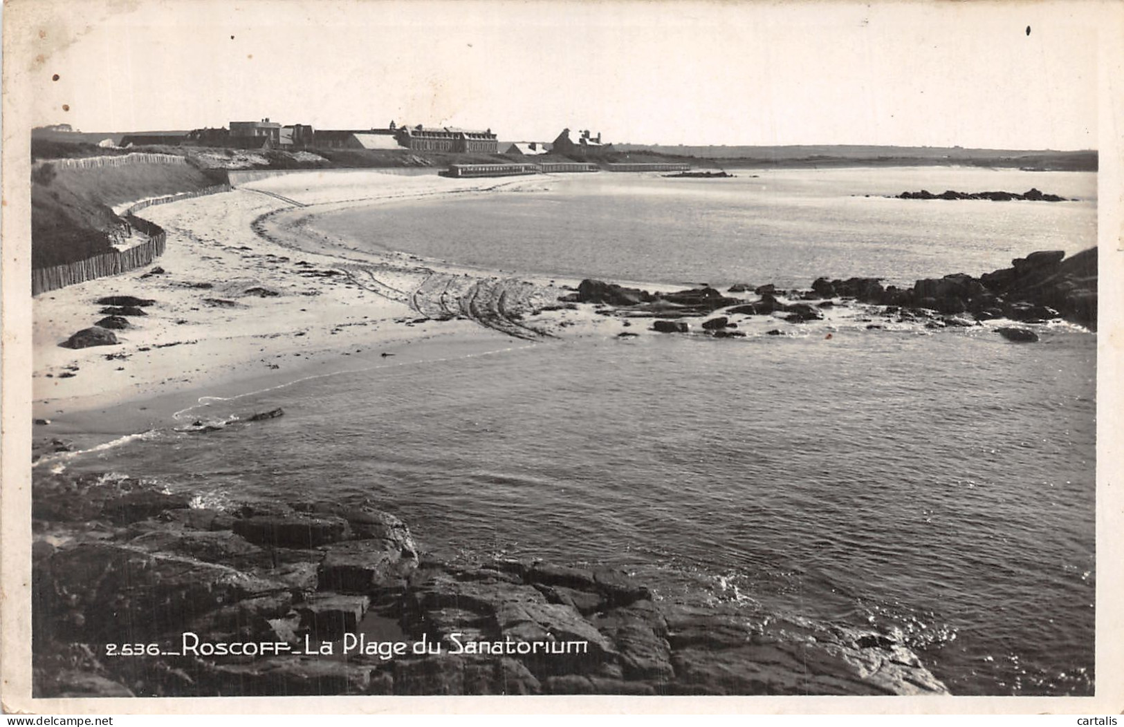 29-ROSCOFF-N°4467-D/0231 - Roscoff